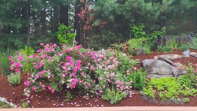 35 Greenside Ln 35, Acton, MA 01720