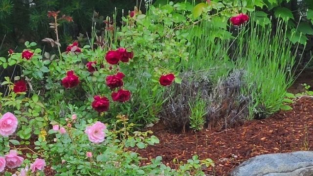 35 Greenside Ln 35, Acton, MA 01720