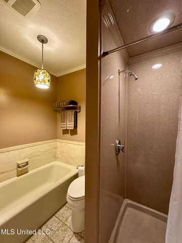 307 Longwood Drive, Clinton, MS 39056