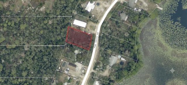 PINE VALLEY DRIVE, Paisley, FL 32767