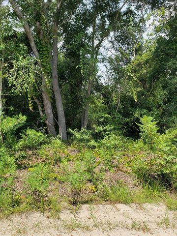 PINE VALLEY DRIVE, Paisley, FL 32767
