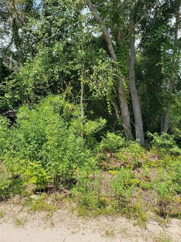 PINE VALLEY DRIVE, Paisley, FL 32767
