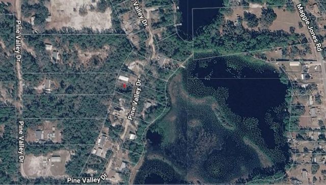 PINE VALLEY DRIVE, Paisley, FL 32767