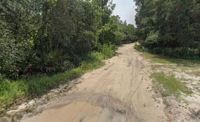PINE VALLEY DRIVE, Paisley, FL 32767