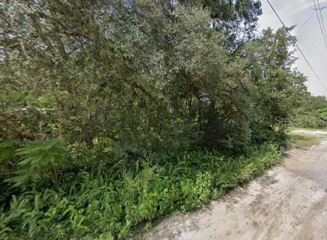 PINE VALLEY DRIVE, Paisley, FL 32767