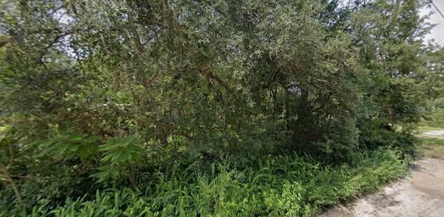 PINE VALLEY DRIVE, Paisley, FL 32767