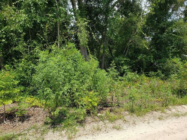 PINE VALLEY DRIVE, Paisley, FL 32767