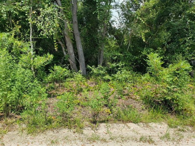 PINE VALLEY DRIVE, Paisley, FL 32767