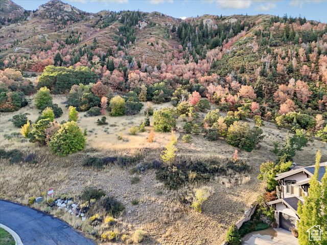 3738 E Catamount Ridge Way Unit 11, Sandy, UT 84092