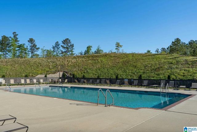 220 CHELSEA PARK CIRCLE, Chelsea, AL 35043