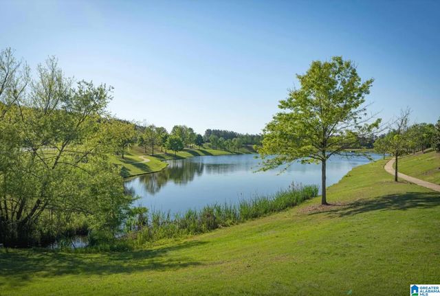 220 CHELSEA PARK CIRCLE, Chelsea, AL 35043