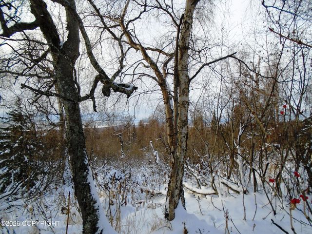 L2B Goldenview Drive, Anchorage, AK 99516