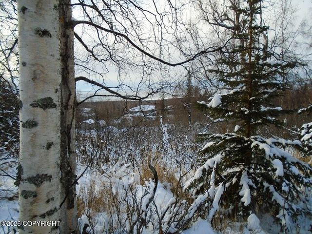 L2B Goldenview Drive, Anchorage, AK 99516