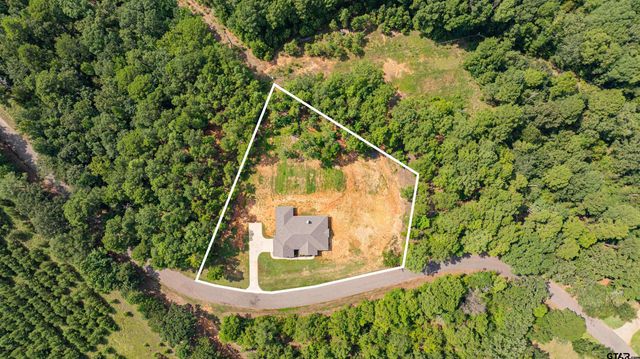 525 Lake Gladewater Rd, Gladewater, TX 75647