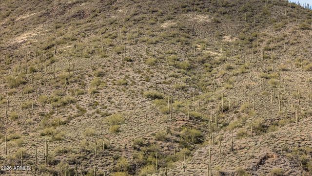 7XXX N 80th Street '-', Cave Creek, AZ 85331