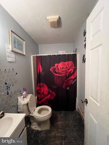 304 ELIZABETH ST, Fruitland, MD 21826