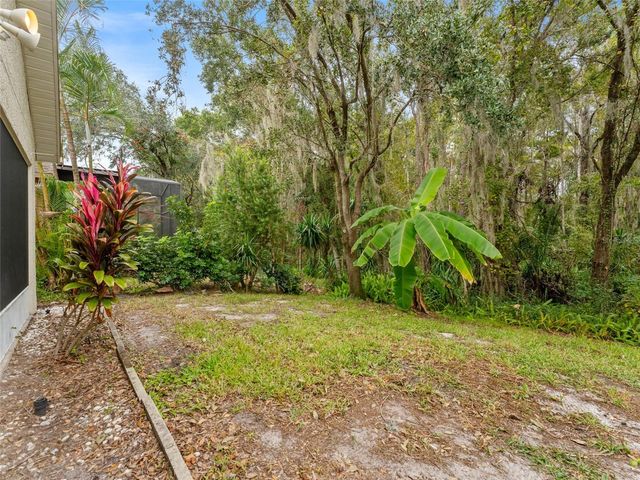 1424 FIREWHEEL DRIVE, Wesley Chapel, FL 33543