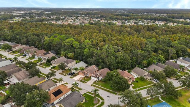 1424 FIREWHEEL DRIVE, Wesley Chapel, FL 33543