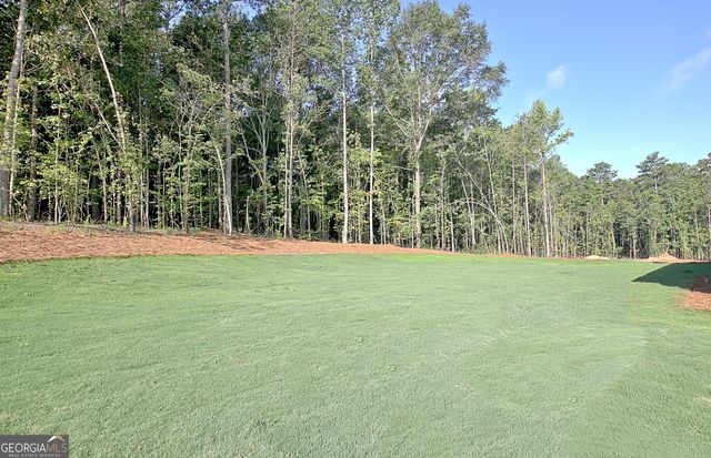 136 Ryeland Drive, Senoia, GA 30276