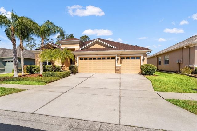 3303 STONEGATE FALLS DRIVE, Land O Lakes, FL 34638