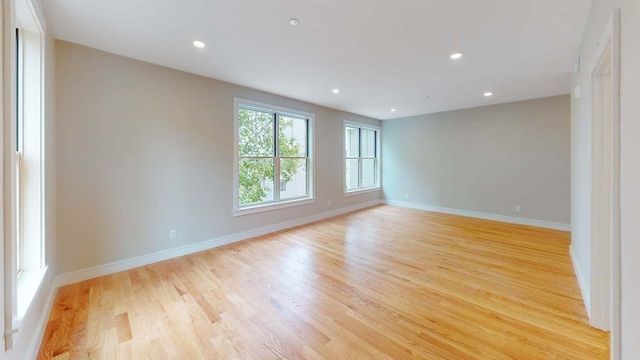 81 Chestnut Hill Ave 205, Boston, MA 02135