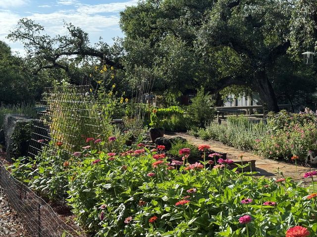 13301 Ramrod DR, Manchaca, TX 78652