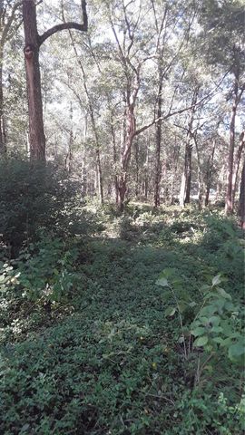 5314 CUCUMBER STREET, Sebring, FL 33875