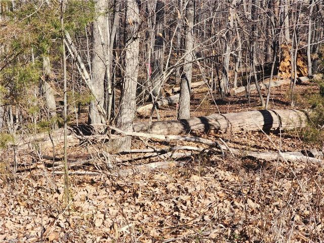 00 Golf Course Road, Pilot Mountain, NC 27041