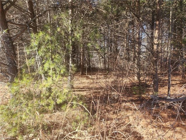00 Golf Course Road, Pilot Mountain, NC 27041