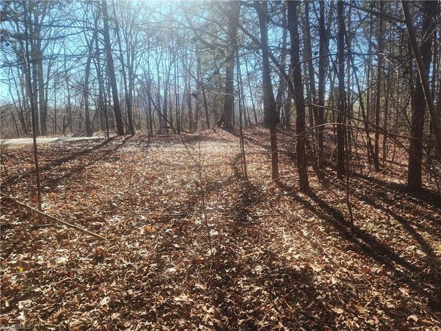 00 Golf Course Road, Pilot Mountain, NC 27041