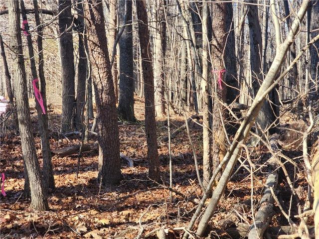 00 Golf Course Road, Pilot Mountain, NC 27041