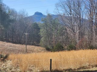 00 Golf Course Road, Pilot Mountain, NC 27041