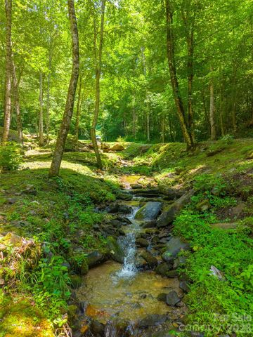 77 Pigeon Creek Trail, Bryson City, NC 28713