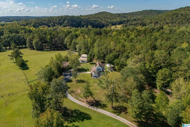 445 HIGHWAY 435, Columbiana, AL 35051