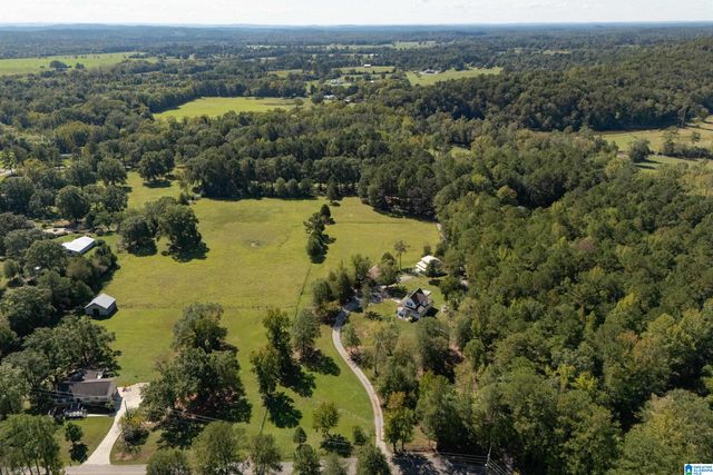 445 HIGHWAY 435, Columbiana, AL 35051