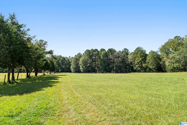 445 HIGHWAY 435, Columbiana, AL 35051