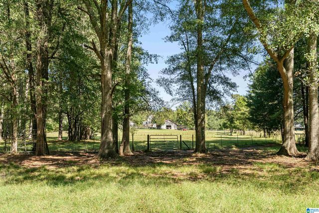 445 HIGHWAY 435, Columbiana, AL 35051