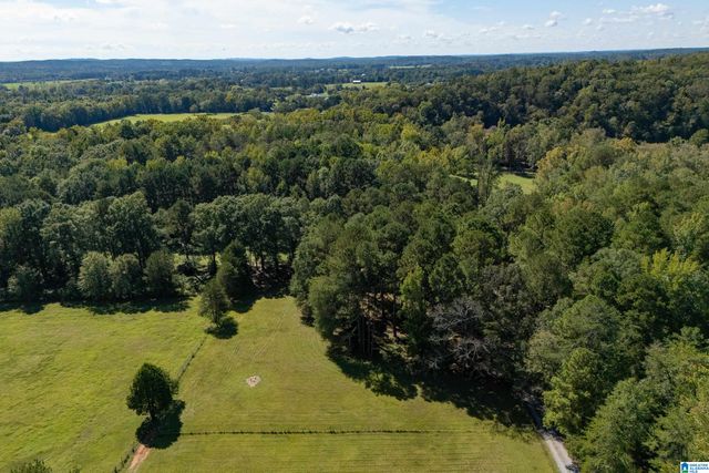 445 HIGHWAY 435, Columbiana, AL 35051