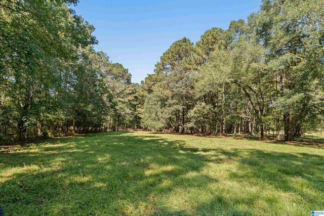 445 HIGHWAY 435, Columbiana, AL 35051