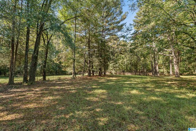 445 HIGHWAY 435, Columbiana, AL 35051