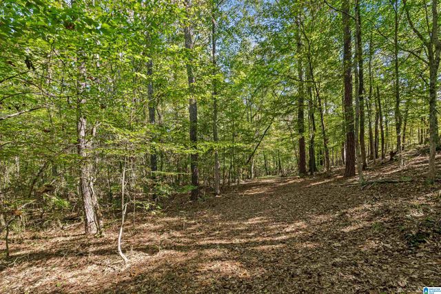 445 HIGHWAY 435, Columbiana, AL 35051