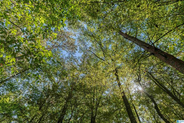 445 HIGHWAY 435, Columbiana, AL 35051