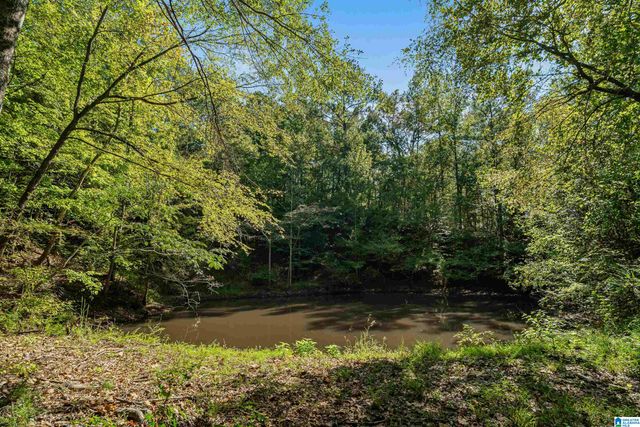 445 HIGHWAY 435, Columbiana, AL 35051