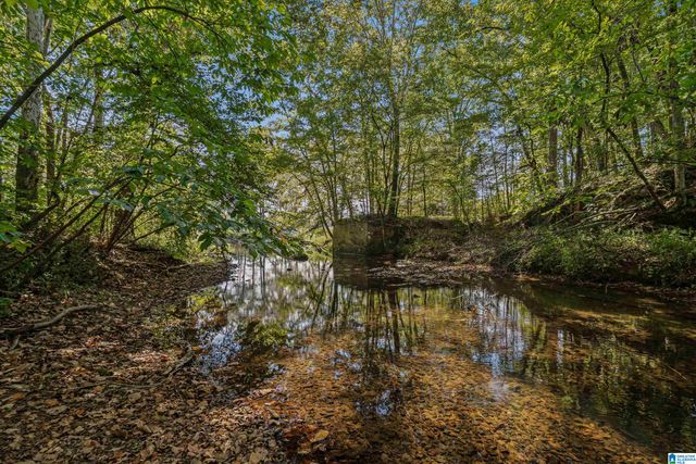 445 HIGHWAY 435, Columbiana, AL 35051