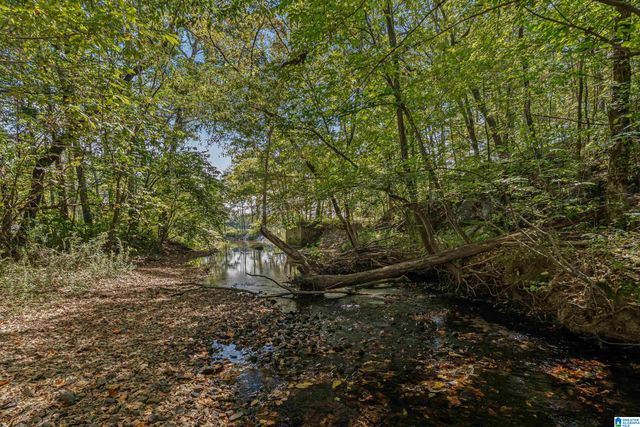 445 HIGHWAY 435, Columbiana, AL 35051