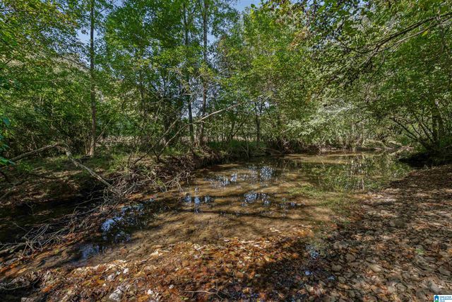 445 HIGHWAY 435, Columbiana, AL 35051