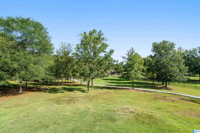 445 HIGHWAY 435, Columbiana, AL 35051