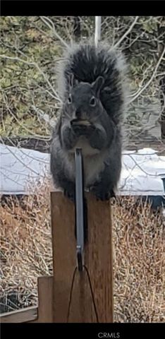 41922 Centre Court, Big Bear Lake, CA 92315