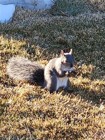 41922 Centre Court, Big Bear Lake, CA 92315