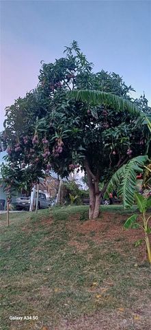 56 ROOSTER RUN GUEST HOUSE, Vieques, PR 00765